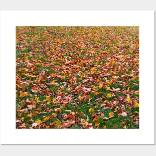 Autumn Leaves Posters and Art